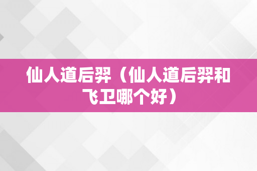 仙人道后羿（仙人道后羿和飞卫哪个好）