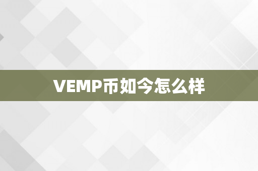 VEMP币如今怎么样