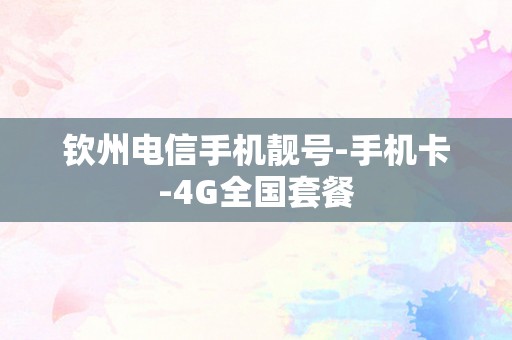 钦州电信手机靓号-手机卡-4G全国套餐