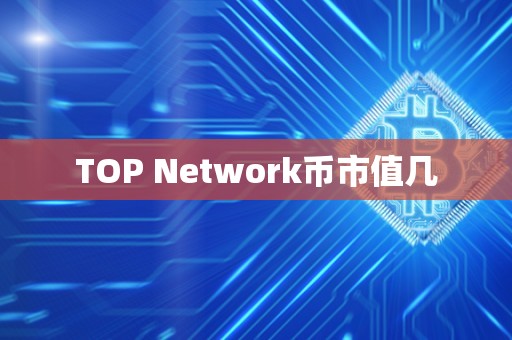 TOP Network币市值几