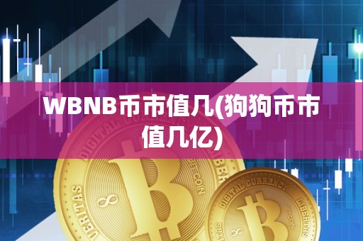 WBNB币市值几(狗狗币市值几亿)
