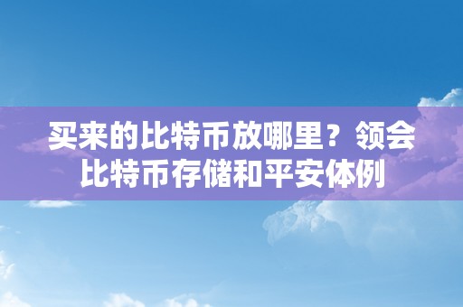 买来的比特币放哪里？领会比特币存储和平安体例