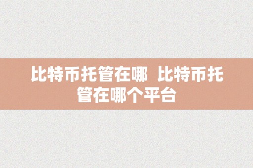 比特币托管在哪  比特币托管在哪个平台