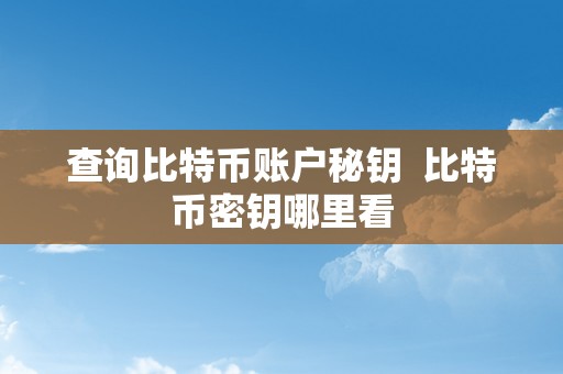 查询比特币账户秘钥  比特币密钥哪里看