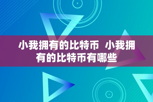 小我拥有的比特币  小我拥有的比特币有哪些