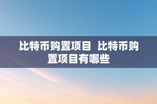 比特币购置项目  比特币购置项目有哪些