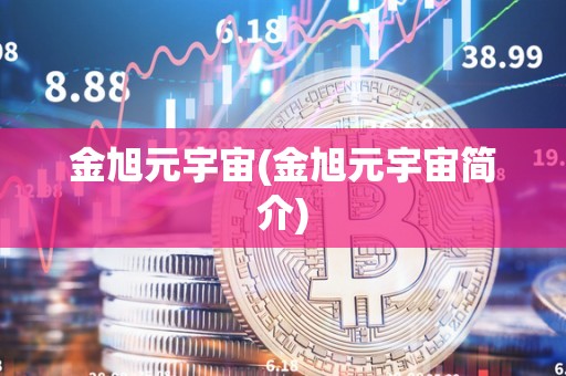 金旭元宇宙(金旭元宇宙简介)