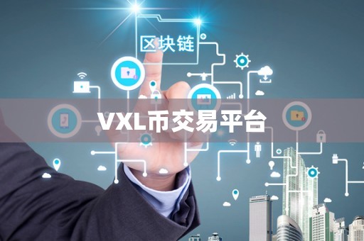 VXL币交易平台