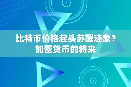 比特币价格起头苏醒迹象？加密货币的将来