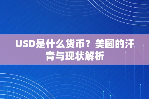 USD是什么货币？美圆的汗青与现状解析
