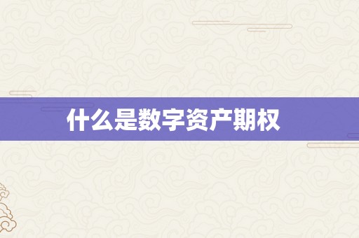 什么是数字资产期权  