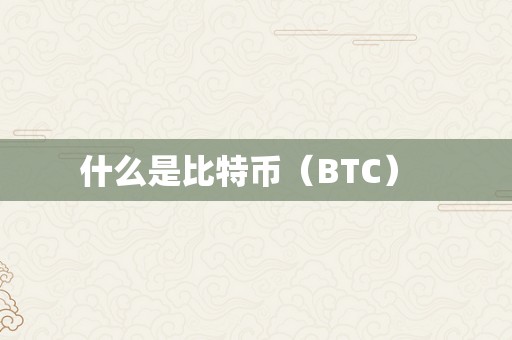 什么是比特币（BTC）  