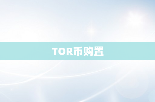 TOR币购置