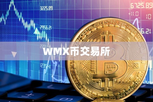 WMX币交易所