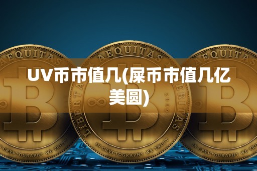 UV币市值几(屎币市值几亿美圆)