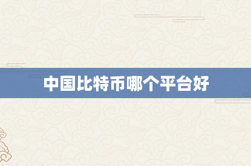 中国比特币哪个平台好