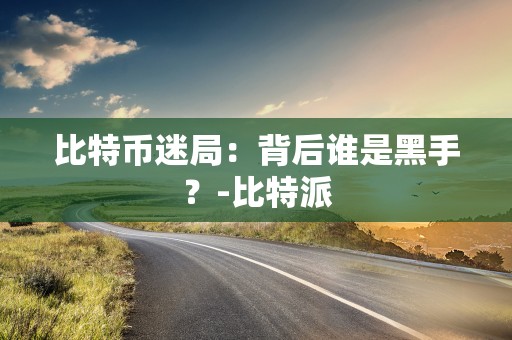 比特币迷局：背后谁是黑手？-比特派