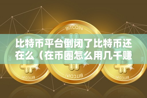 比特币平台倒闭了比特币还在么（在币圈怎么用几千赚几十万）