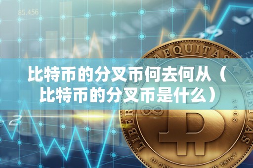 比特币的分叉币何去何从（比特币的分叉币是什么）