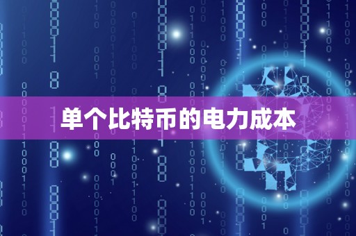 单个比特币的电力成本